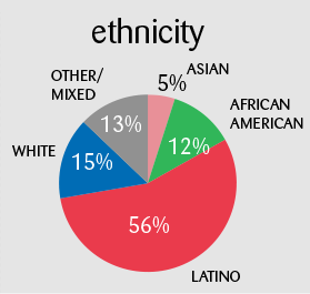 Ethnicity: Latino 56%, White 15%, African American 12%, other 13%, Asian 5%