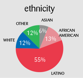 Ethnicity: Latino 55%, African American 13%, White 12%, other 12%, Asian 6%