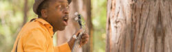 A man in a yellow shirt and hat holds a banjo and looks surprised while standing near a large tree in a forest.