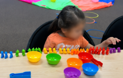 A child sits at a table sorting colorful plastic animals into bowls by color, with a sorting activity mat and hoops visible in the background.